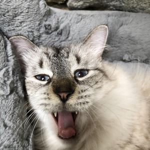 Meet your Posher, Marco